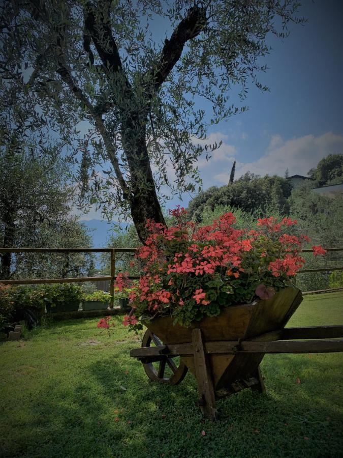 Appartamento Camelia Μαλτσεζίνε Εξωτερικό φωτογραφία